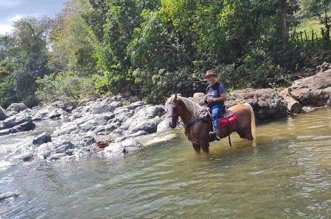 Horseback Riding tour near Santo Domingo with pick up and dropoff - Price and value: is $95 a fair deal?