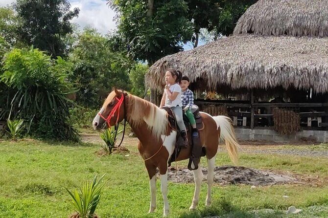 Horseback Riding tour near Santo Domingo with pick up and dropoff - Santo Domingo pickup and the ride out: less stress, more riding