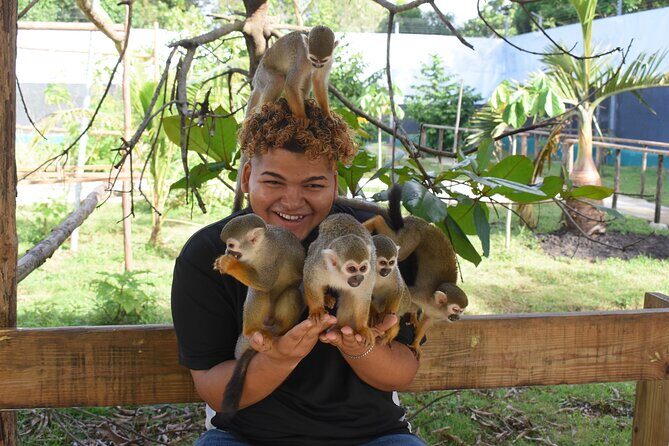 Interaction with Monkey Tour & city tour in Puerto Plata - A Packed Puerto Plata Loop With Real Monkey Time