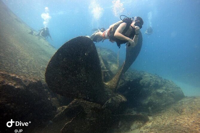 Learn to Scuba Dive in Punta Cana - Who This Punta Cana Reef Session Fits Best