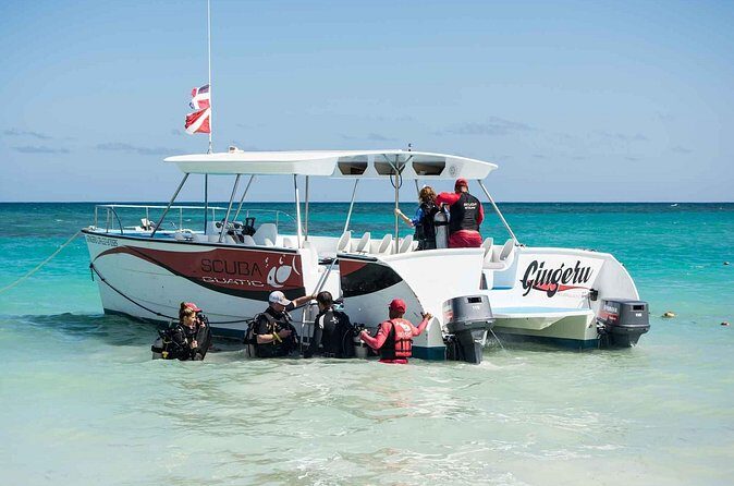 Local diving Bávaro -Double tank - Marine Life: Sharks, Sea Turtles, and Real-World Reality