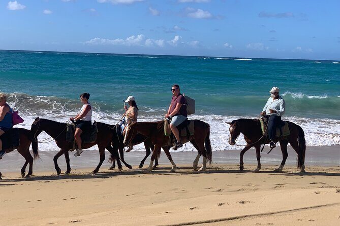 Miches Beach Horseback Riding - Riding along Playa Limon: the coastline is the main character