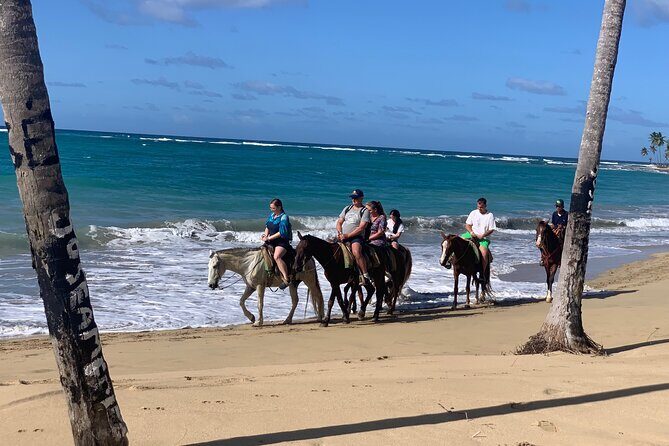 Miches Beach Horseback Riding - Guides and safety: what you can expect from the way they run it