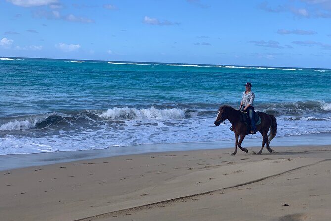 Miches Beach Horseback Riding - Price and value: is $70 worth it?