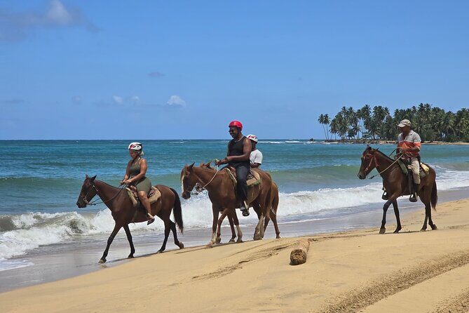 Miches Beach Horseback Riding - Getting from Punta Cana to the northern fringe (without losing your morning)