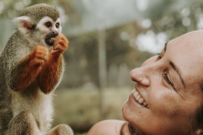 Monkey Jungle with Zip line - Key Things That Make This Tour Worth Your Time