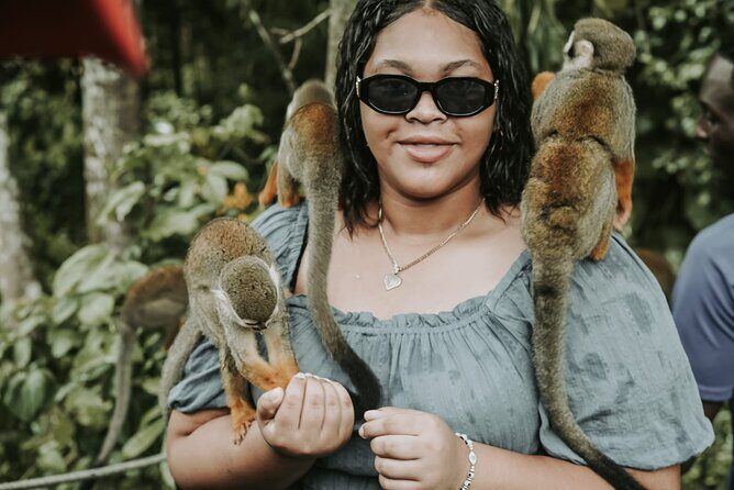 Monkey Jungle with Zip line - The Route: Montellano, the Crabs Area, Sosua, and Puerto Plata