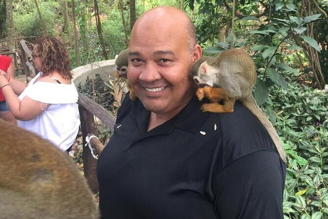 Monkey Jungle with Zip line - Zip Line With a 7-Base Extension: Safety, Pace, and What to Know