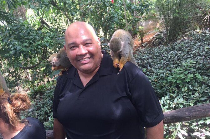 Monkey Jungle with Zip line - Price and Value: What $125 Gets You (and What It Doesn’t)