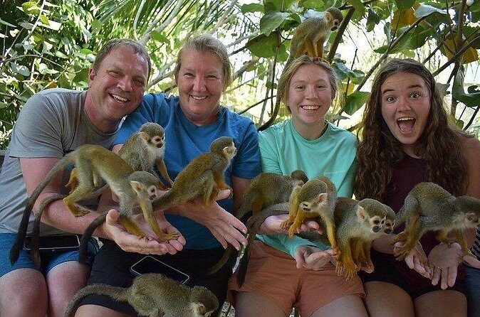 Monkey Mania Puerto Plata - Monkey Mania: what you’ll do with squirrel monkeys and more
