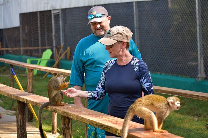 Monkey Mania Puerto Plata - Price and value: why $75 can make sense here