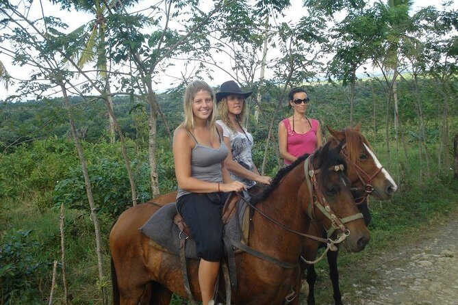 mountain horse back riding - Why Mountain Horseback Above Puerto Plata Feels Worth Your Time