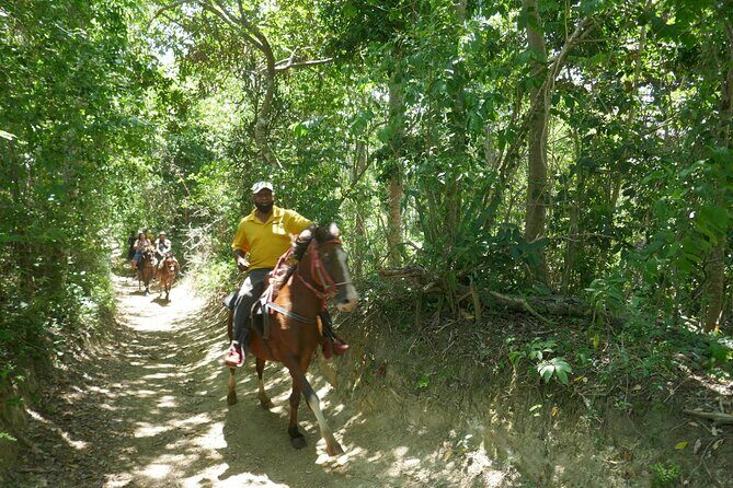 mountain horse back riding - What’s Included (and Why It Matters for Your Comfort)