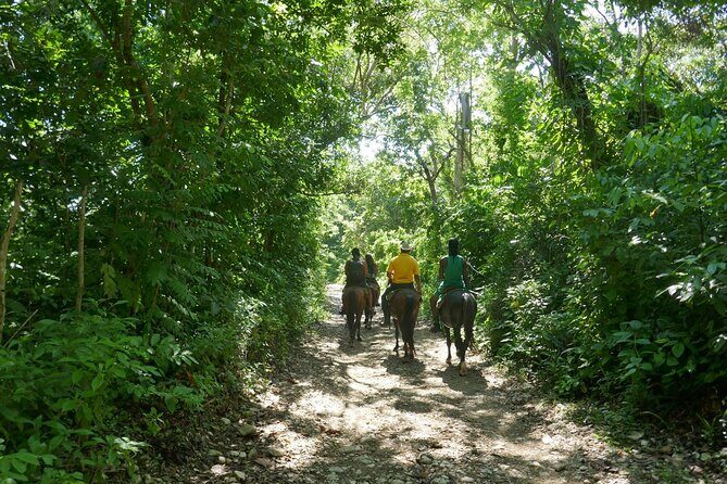 mountain horse back riding - Who This Horseback Tour Fits Best