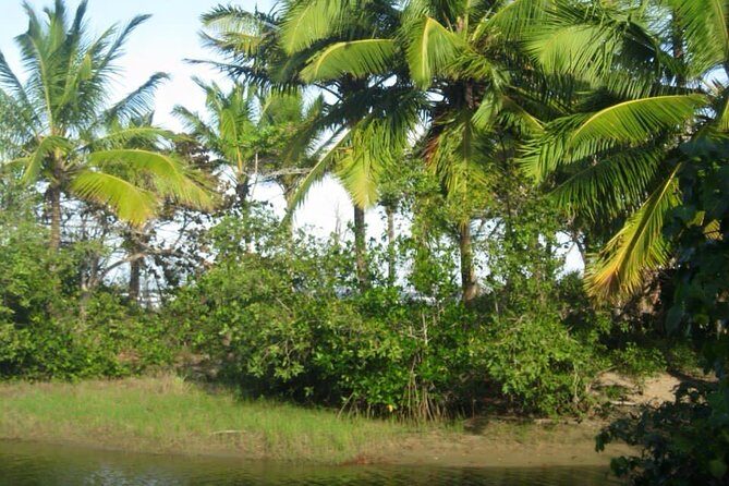 mountain horse back riding - The Ride Through Puerto Plata Province Hills and Small Villages