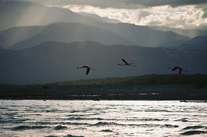 Nature Combo Oviedo Lagoon & Bahia de las Aguilas - Included value: what $295 is really paying for