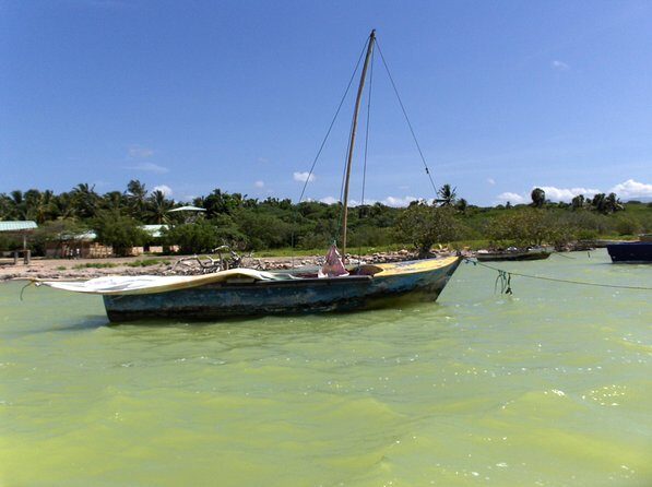Nature Combo Oviedo Lagoon & Bahia de las Aguilas - Guides and the nature focus: Efrain, Jasmine, and Ronald