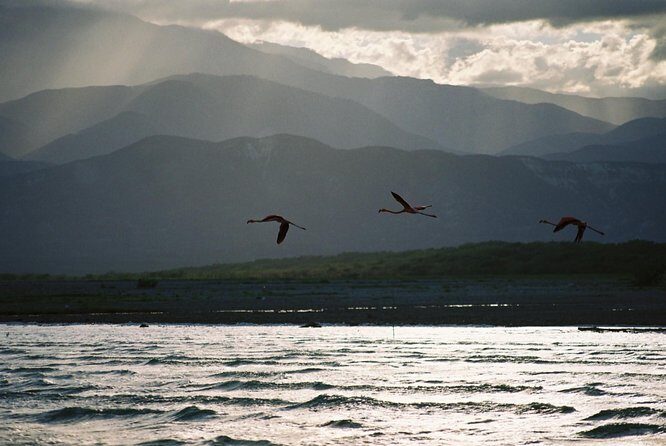 Nature Combo Oviedo Lagoon & Bahia de las Aguilas - Who should book this tour (and who might want to skip it)