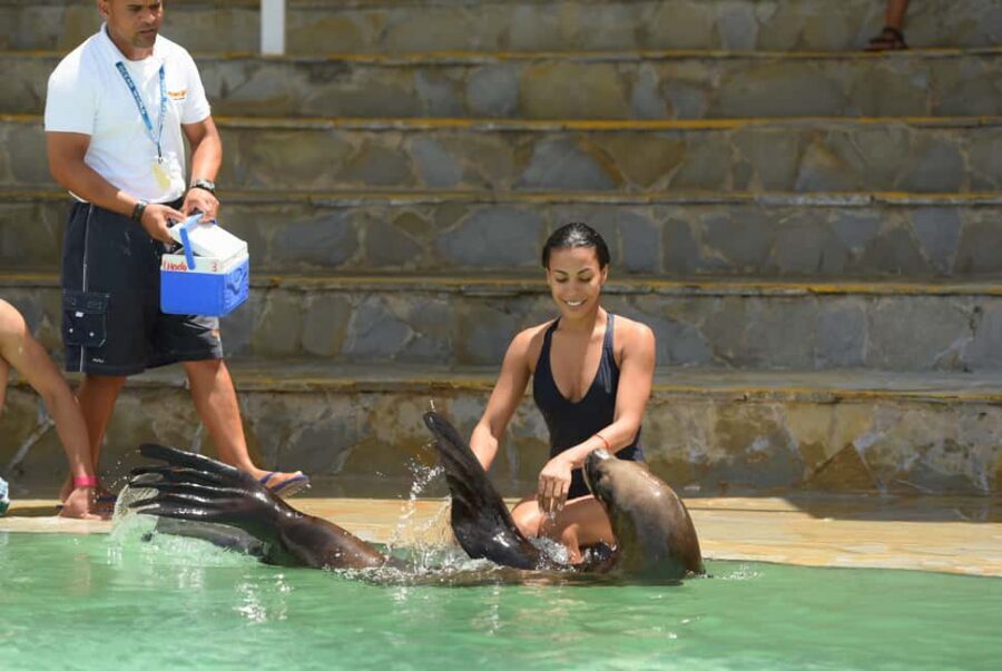 Ocean World Dolphin Swim & Sea Lion Combo from Puerto Plata - Quick hits (what’s especially good here)