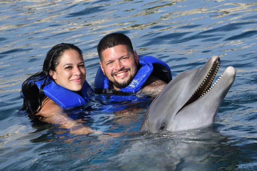 Ocean World Dolphin Swim & Sea Lion Combo from Puerto Plata - The Atlantic bottlenose dolphin swim: Lecture, orientation, and the part you’ll remember