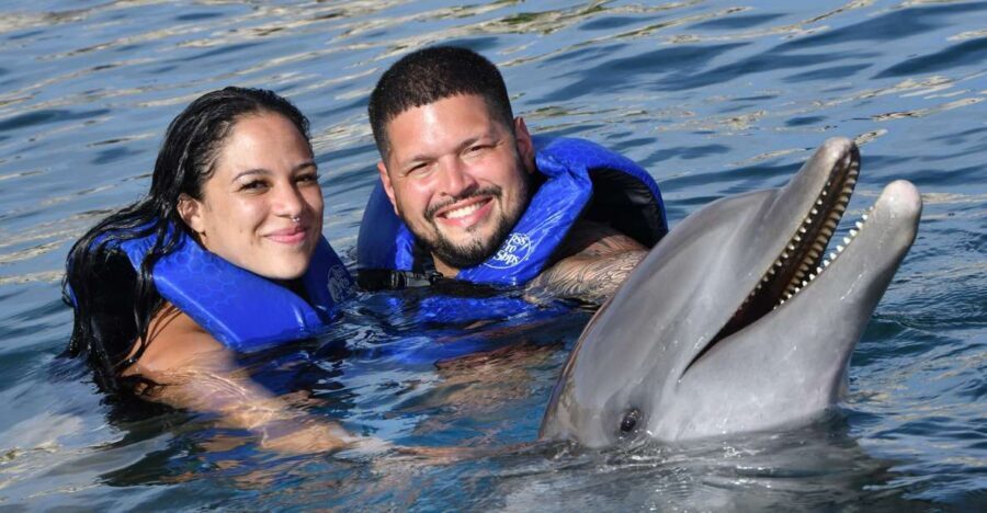 Ocean World Dolphin Swim & Sea Lion Combo from Puerto Plata - Who this is best for (and who should think twice)