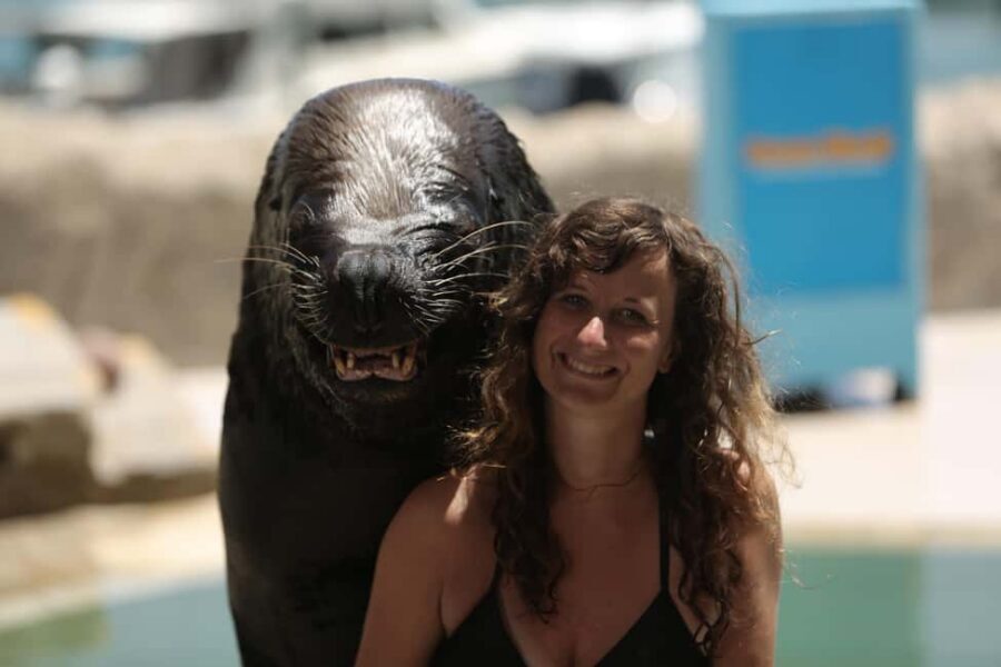 Ocean World Dolphin Swim & Sea Lion Combo from Puerto Plata - 510 minutes of activity: How the day usually feels