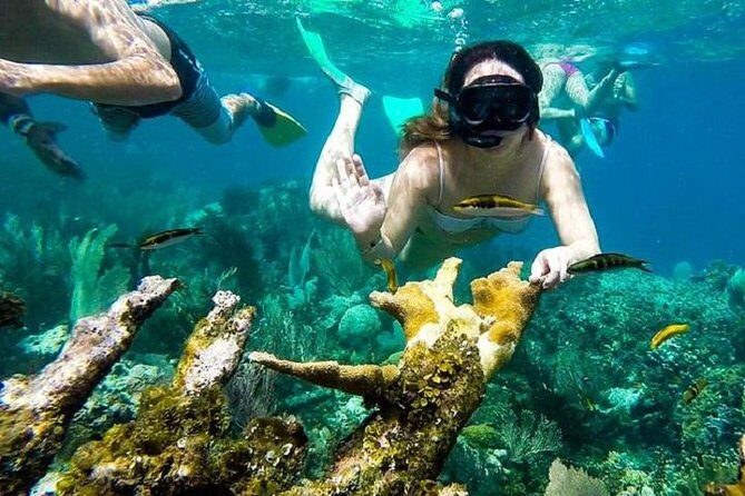 Paradise Island Cayo Arena & Mangroves from Puerto Plata (Full Day) - Cayo Arena (Cayo Paraiso): Sand, Swim, and Snorkel Time