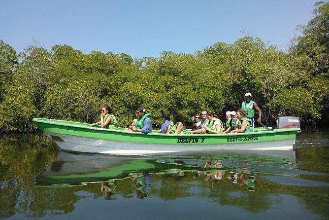 Paradise Island Cayo Arena & Mangroves from Puerto Plata (Full Day) - Exploring by Foot, Mangroves, and Birdy Coasts