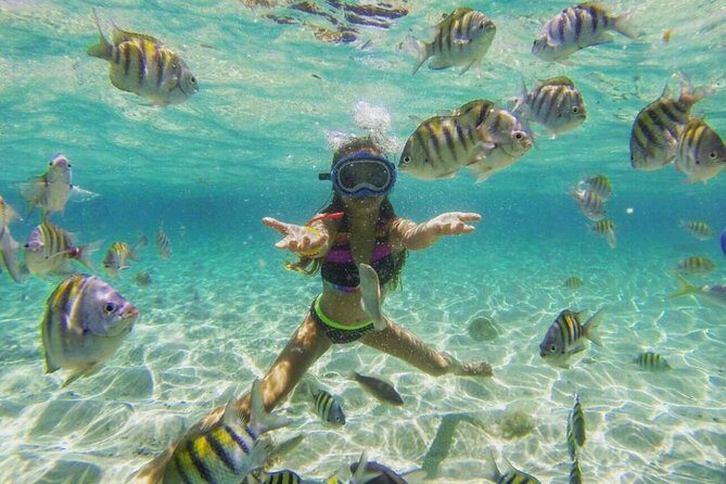 Paradise Island Cayo Arena & Mangroves from Puerto Plata (Full Day) - Lunch and Non-Alcoholic Drinks: A Practical Midday Win
