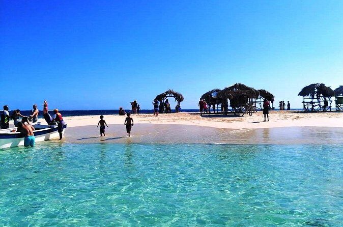 Paradise Island & Mangroves Tour - What to Bring (So the Day Feels Easy, Not Annoying)
