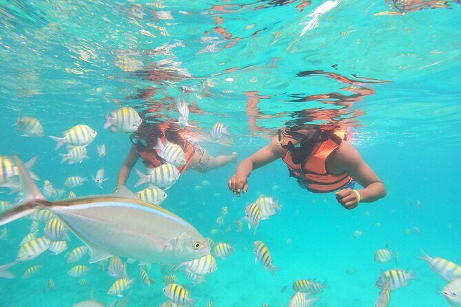 Party Boat Punta Cana - Practical tips so your 4 hours feel smooth