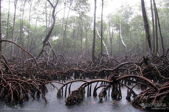 Private Boat Nature Tour of Los Haitises National Park - Sabana de la Mar lunch: the culture break you’ll actually enjoy