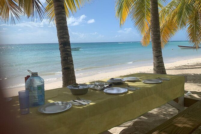 Private Boat Nature Tour of Saona Island - Getting There from Bayahibe: Air-Conditioned Pickup Makes a Difference