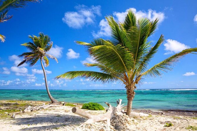 Private Departure Transfer from Punta Cana to Punta Cana airport (PUJ) - Why This Punta Cana Departure Transfer Feels Worth It