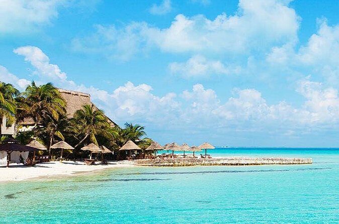 Private Departure Transfer from Uvero Alto to Punta Cana airport (PUJ) - Reliability Check: One No-Show, and What It Means for You
