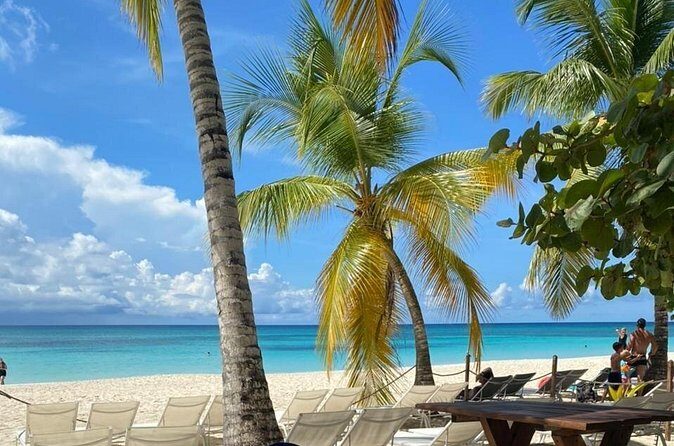 Private Full Day Tour of Punta Cana - Isla Saona Core Time: Abanico and Catuano in One Day