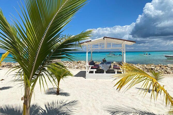 Private Full Day Tour of Punta Cana - Catuano Channel and Protected Mangroves: Turtles and Quiet Water