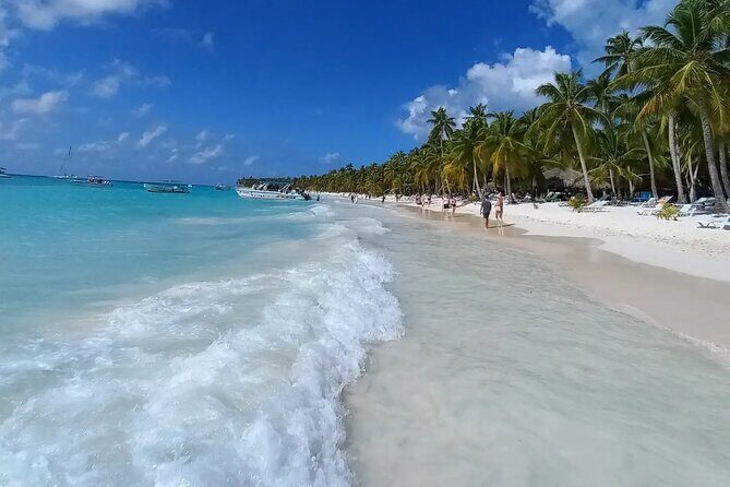 Private Full Day Tour of Punta Cana - Palmilla Stop and Sea-Star Viewing: A Short, Memorable Mainland Moment