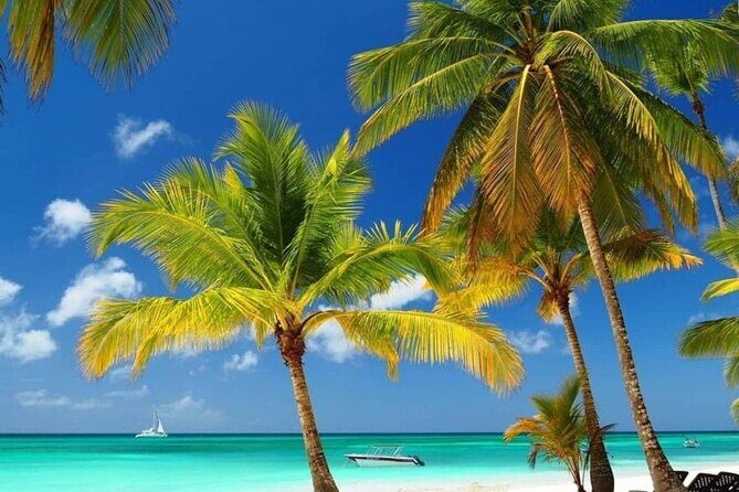 Private Full Day Tour of Punta Cana - Lunch in Catuano: Where the Day Turns Into a Real Meal