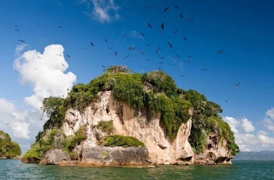 Private: Los Haitises & Cayo Levantado from Samana - Key Highlights You’ll Care About