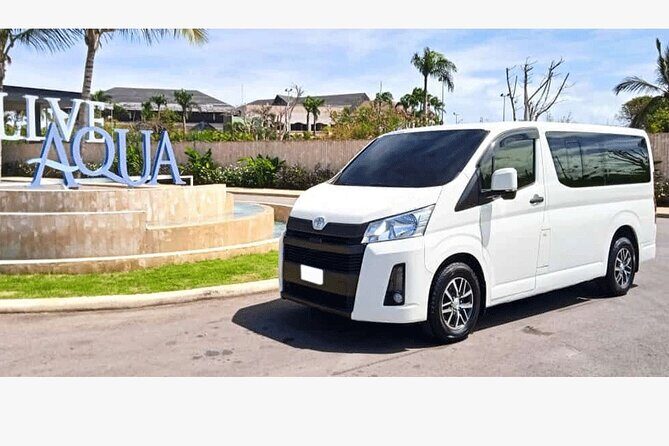 Private Transfer from Hotels to Punta Cana Airport - Price and value: $25 per person for round-trip stress relief