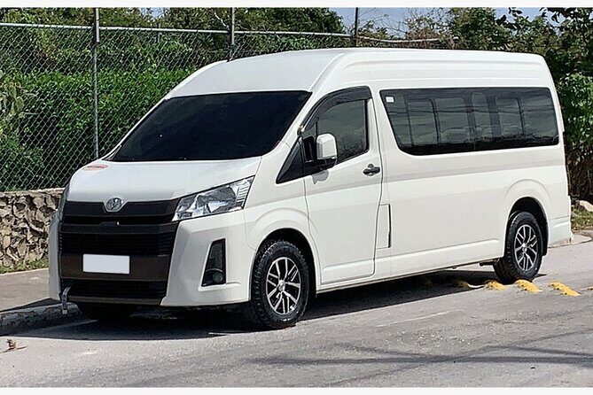 Private Transfer from Hotels to Punta Cana Airport - Who this works best for in Punta Cana