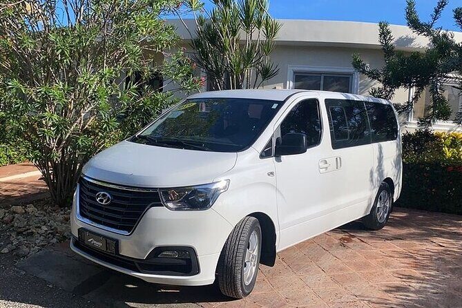 Private Van Tour - Getting Picked Up Smoothly: Cruise Port, Airport, and Anywhere in Town