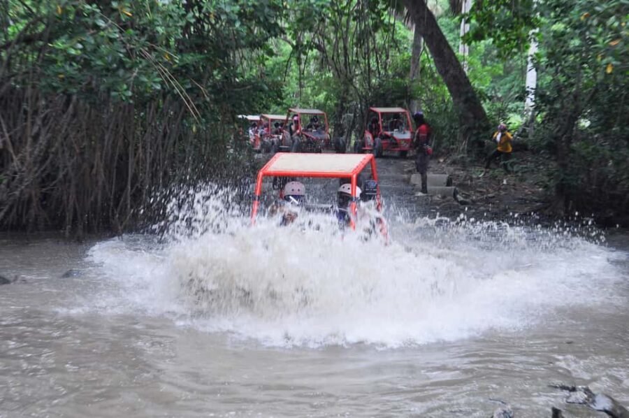 Puerto Plata: Buggy, Zip Line, Waterfalls, and Lunch Combo - The Homemade Lunch Stop: Organic Fruit and Soft Drinks