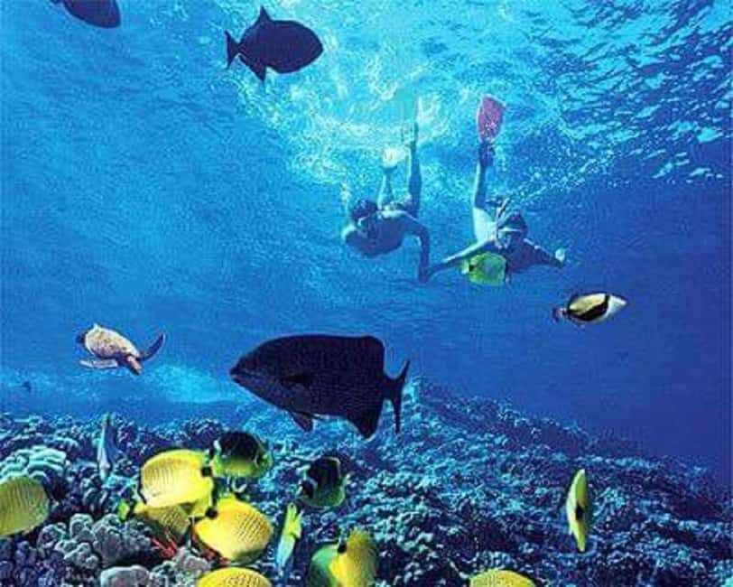 Puerto Plata: Cayo Arena Tour with Snorkeling and Mangroves - Key highlights and what makes them special