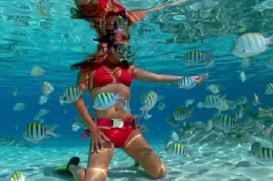 Puerto Plata: Cayo Arena Tour with Snorkeling and Mangroves - Getting to Punta Rucia: the early start that sets the tone
