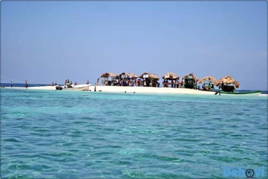 Puerto Plata: Cayo Arena Tour with Snorkeling and Mangroves - Cayo Arena: white sand, no shade, and real snorkeling time
