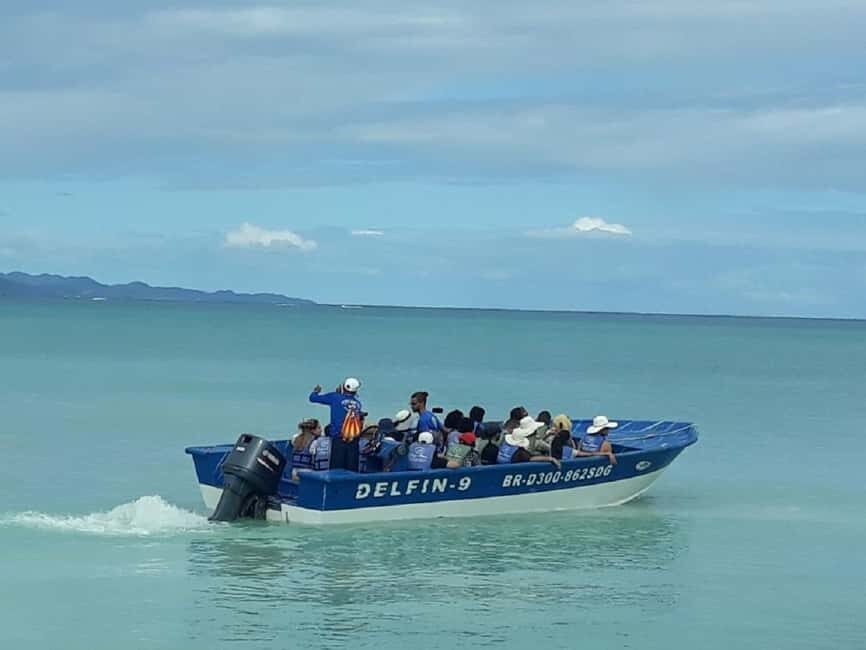 Puerto Plata: Cayo Arena Tour with Snorkeling and Mangroves - Speedboat run to Cayo Arena: quick, practical, and scenic