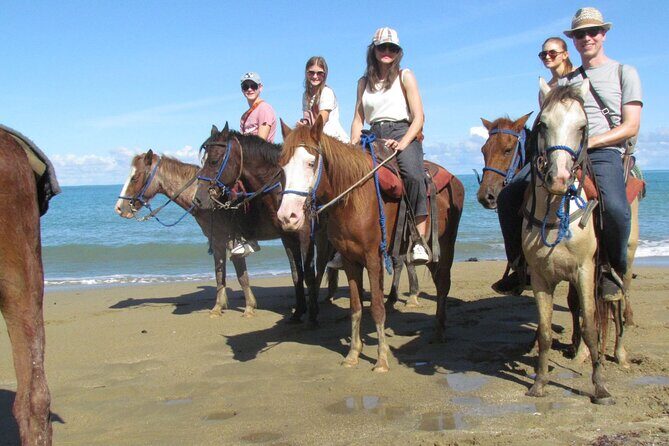 Puerto Plata City Horseback Riding Tour ,Rios,Beaches and Countryside - Key Things You’ll Notice on This Puerto Plata Tour