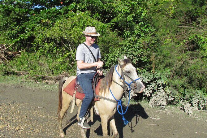 Puerto Plata City Horseback Riding Tour ,Rios,Beaches and Countryside - Where the Horse Ride Fits: Gentle Horses and Calm Guidance